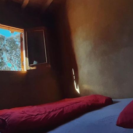 Tunis Camp Al Fayyūm Buitenkant foto