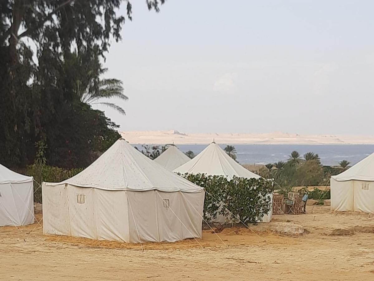 Tunis Camp Al Fayyūm Kamer foto
